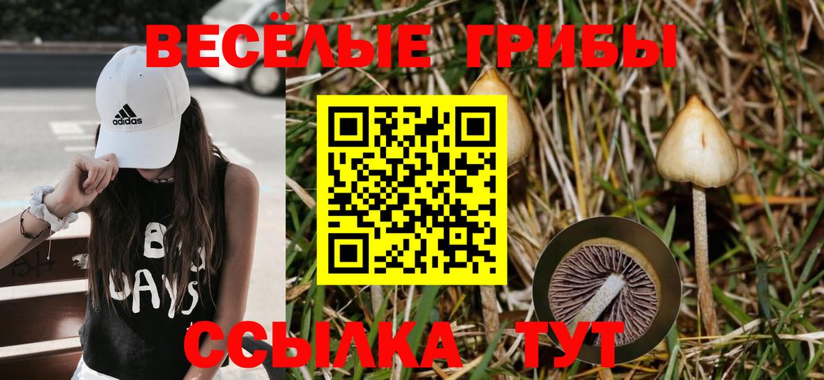 Псилоцибиновые грибы мицелий Красный Сулин