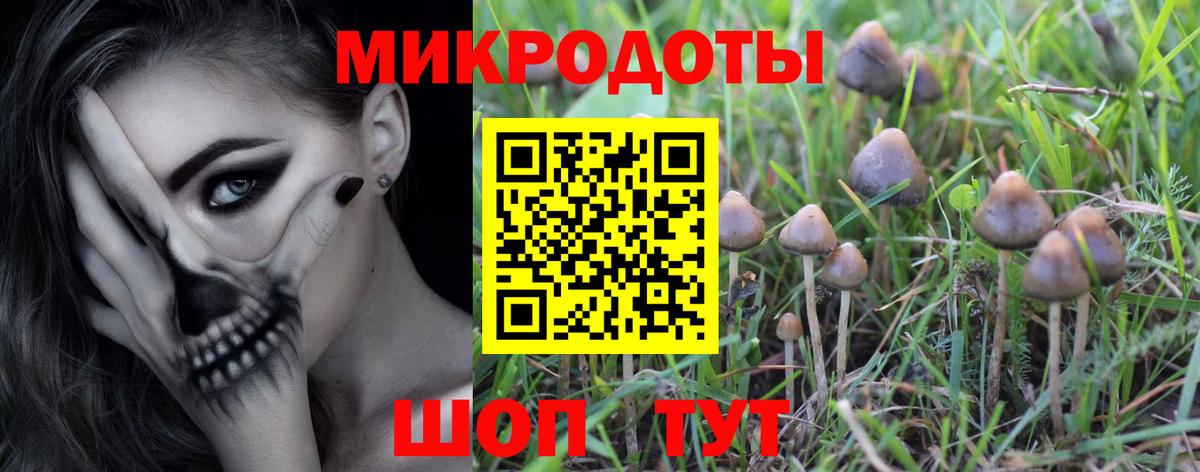 Красный Сулин  Галлюциногенные грибы Magic Shrooms  Вход с VPN 